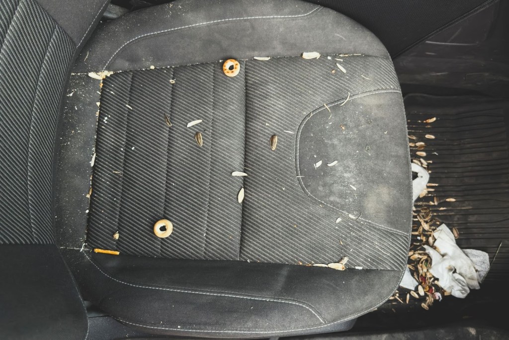 A close-up view of a dirty car seat showing scattered debris including small leaves, a few seeds, and a discarded item. The fabric is worn and stained, indicating lack of cleaning. The surrounding area shows remnants of other materials.